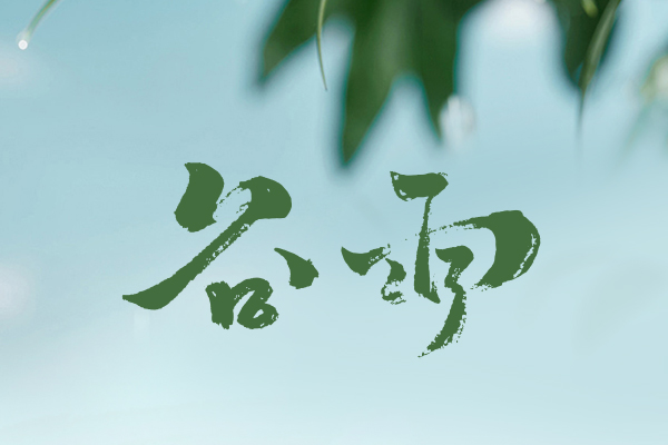谷雨時節(jié)｜以春之尾韻，寄夏之初愿